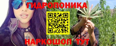 прущие грибы Комсомольск-на-Амуре